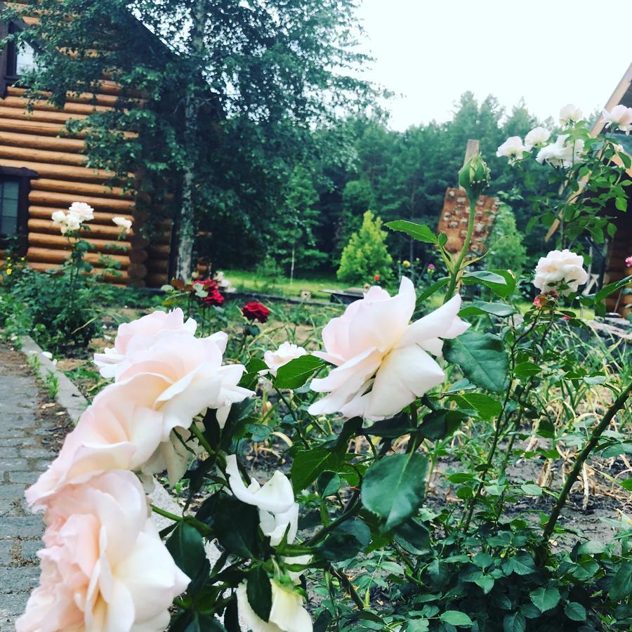 Gostynna Sadyba Kit Bayun Teterivka Εξωτερικό φωτογραφία